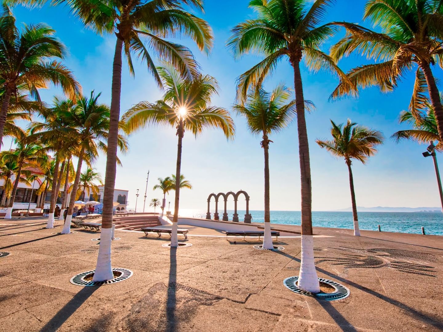 Palm trees lining the beach in front of a building in Puerto Vallarta Malecon near Plaza Pelicanos Club Beach Resort
