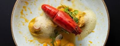 Close-up of a fine lobster dish served in a Restaurant at Hotel Nodo