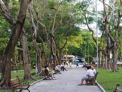 Le Van Tam Park - Ho Chi Minh City