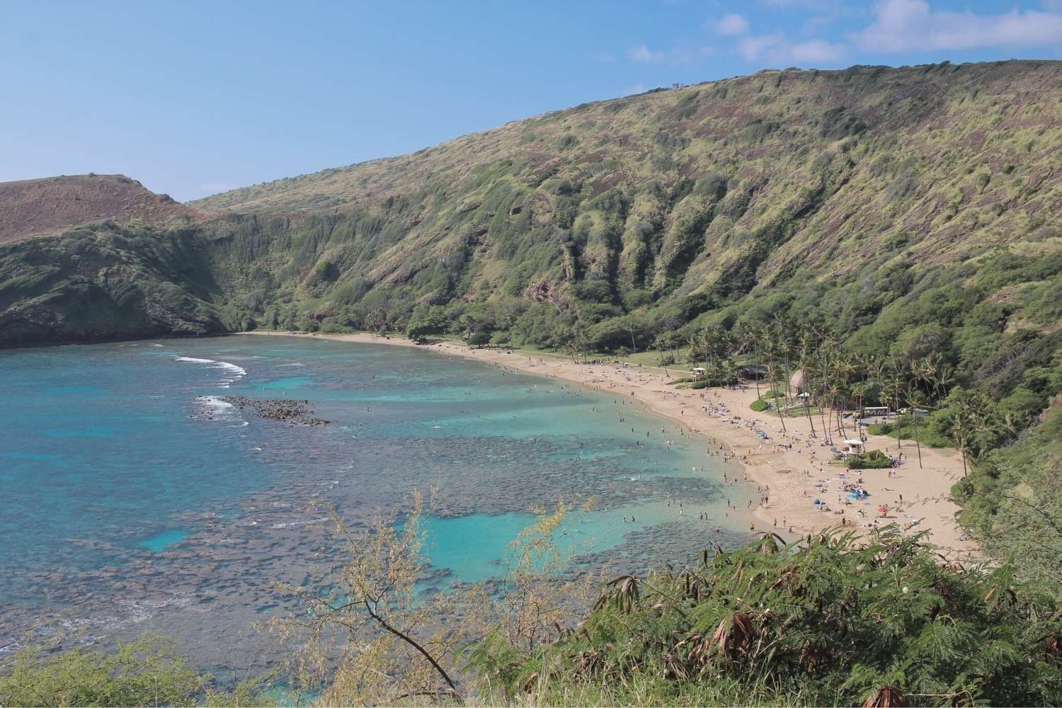 Aerial view of Hanauma Bay on a sunny day near Waikiki Resort Hotel