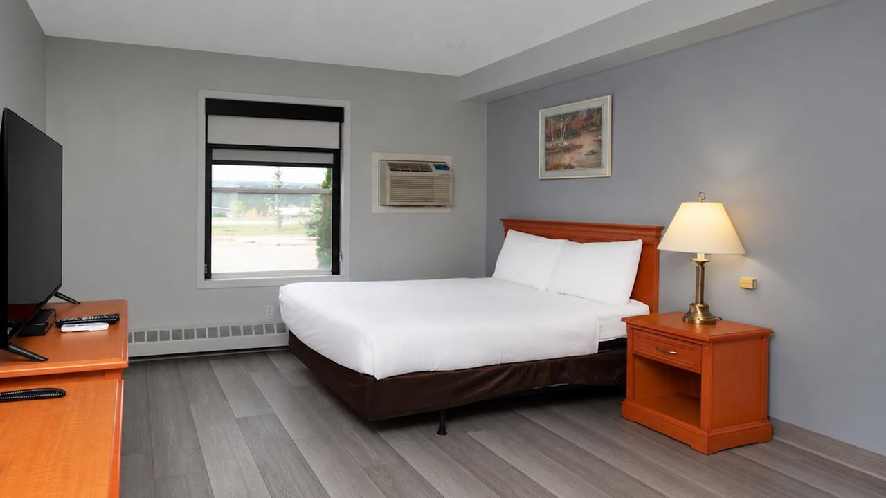 Coast Queen with Kitchenette Pet Friendly room with queen bed, gray wood floors and window.