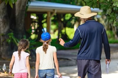 A guide walking with 2 girls at Heron Island Resort