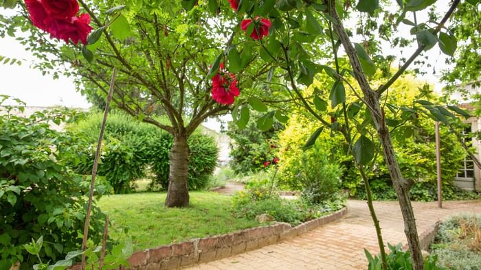 Flowers blooming in the garden of Hotel Clos Saint Marie