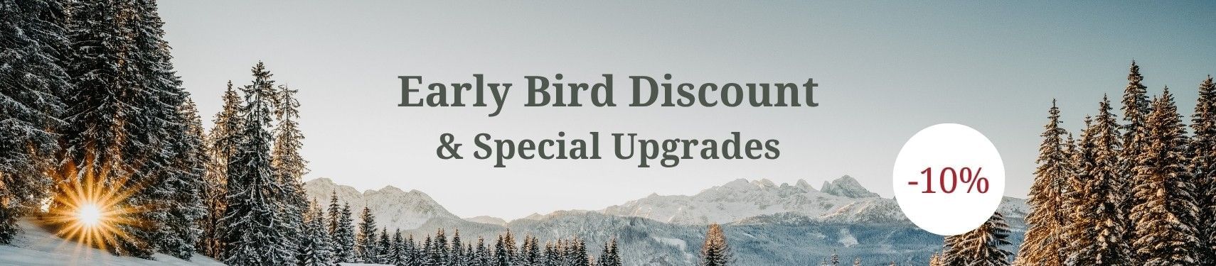 Early Bird Discount Winter Banner