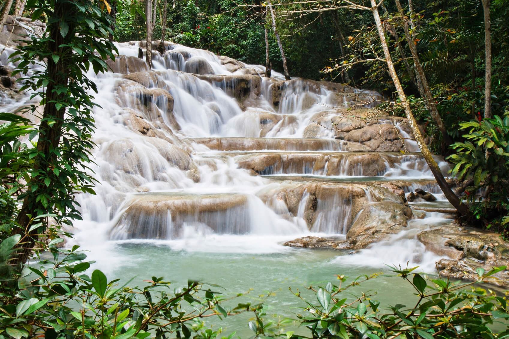 River of the Dunn's River Falls & Park near Courtleigh Hotel and Suites