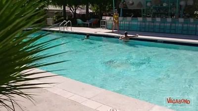 an short overveiw of the Vagabond Hotel Miami pool area