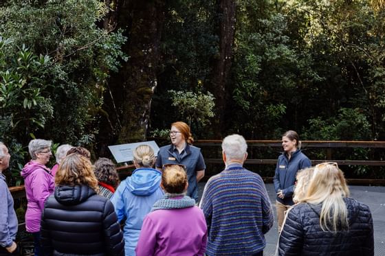 People at The Tasmanian Wilderness near Strahan Village 