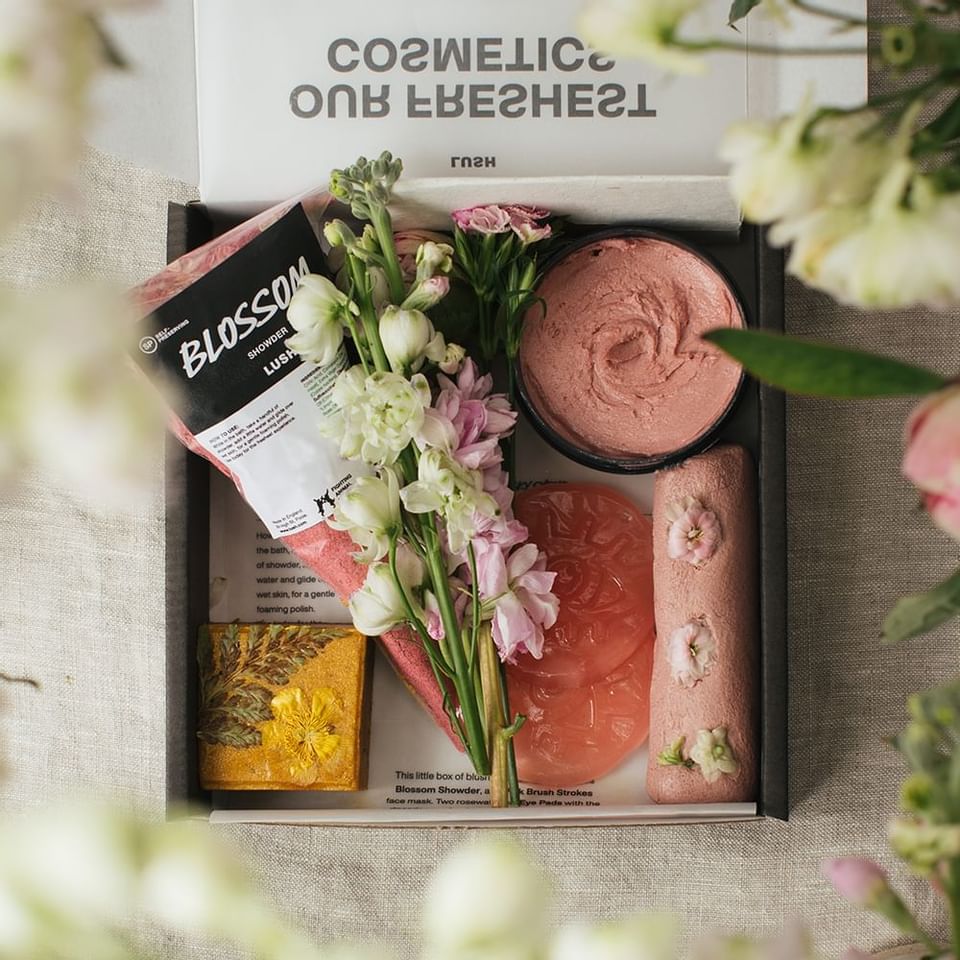 Handmade Cosmetics Box in Lush Shop at Pine Inn