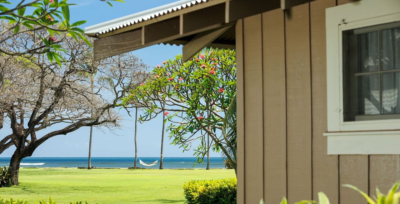 Cottage, ocean, and tree