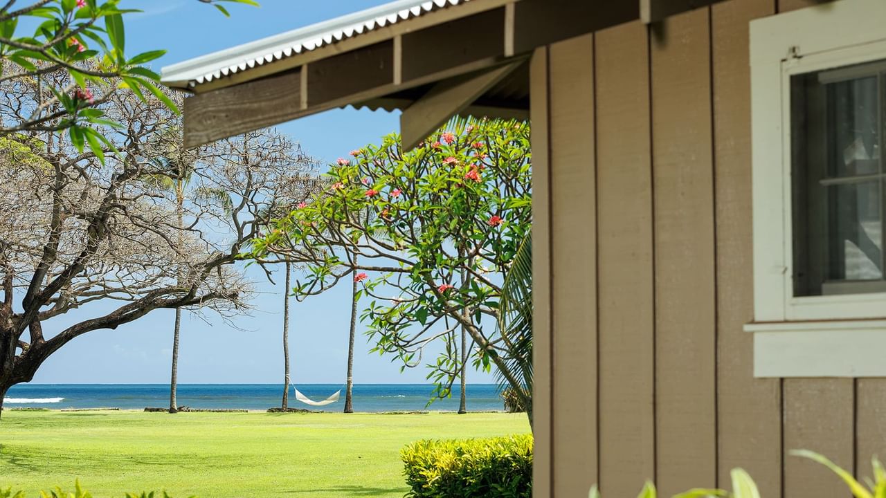 Cottage, trees, ocean, and a hammock