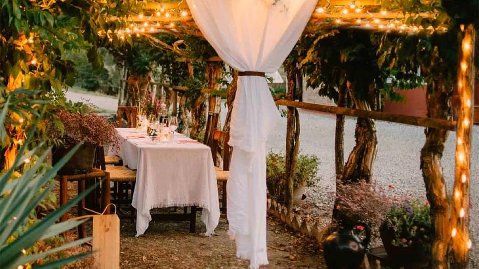 Outdoor dinner arrangement by the lagoon, Falkensteiner Hotels