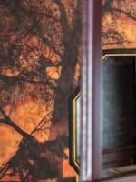 Tree mural on wall with mirror reflection in an Executive Room at The Capital Hotel, Apartments & Townhouse