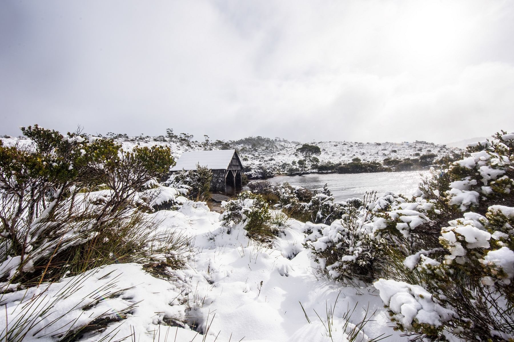 Cradle Mountain Attractions Cradle Mountain Walks