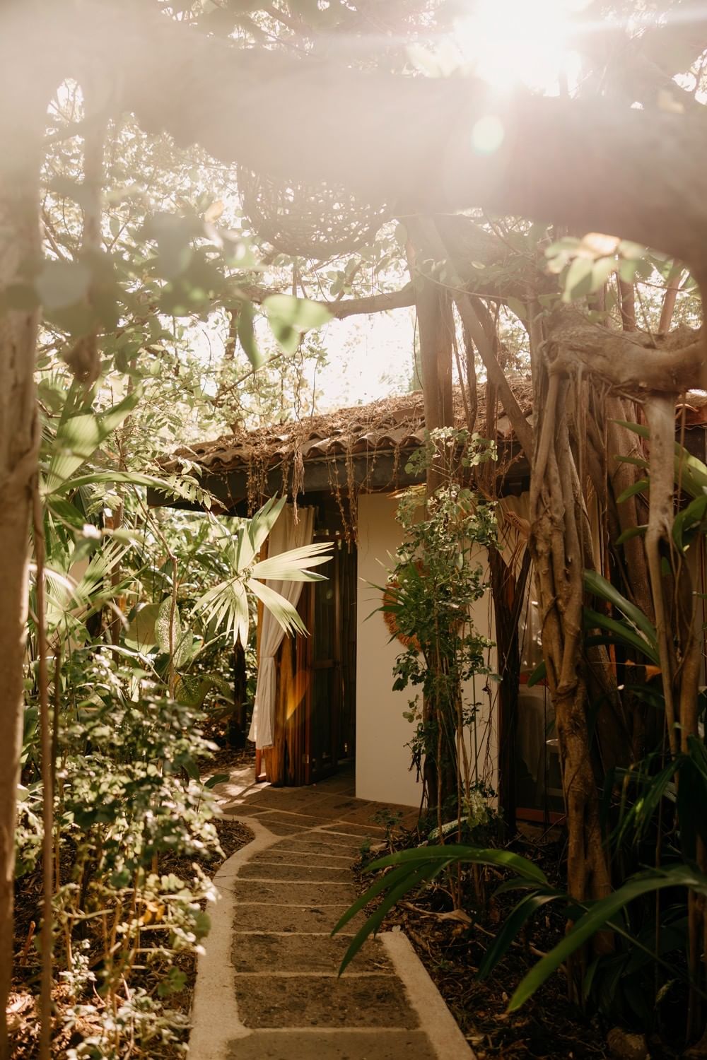 Lahari Wellness Center nestled in lush greenery with a stone path and sunlit trees at Cala Luna Boutique Hotel
