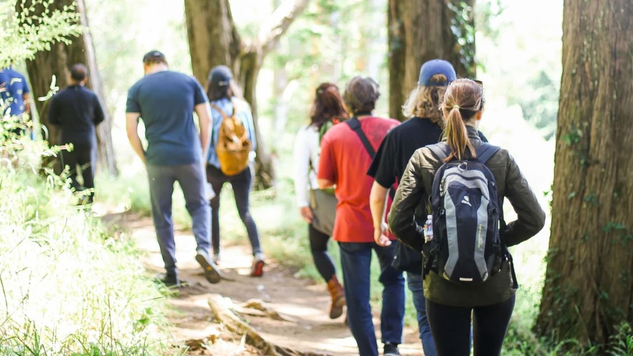 A group of coworkers goes on a hike in Canmore in between conferences for team building.