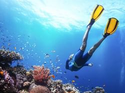 Catamaran Sailing & Snorkeling
