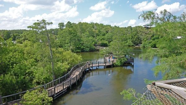 Panoramic view of Gatorland in Orlando