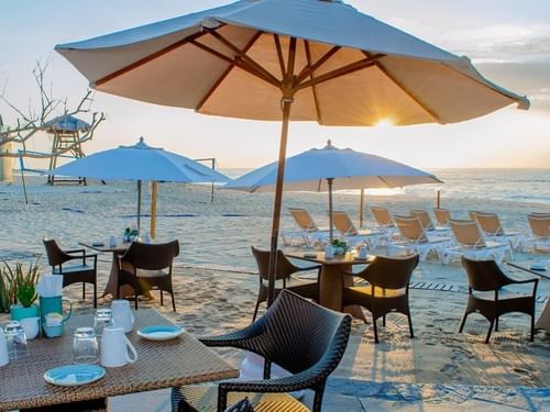 Beachfront dining area with tables under large umbrellas at Tortugas Restaurant in Hacienda Del Mar Los Cabos