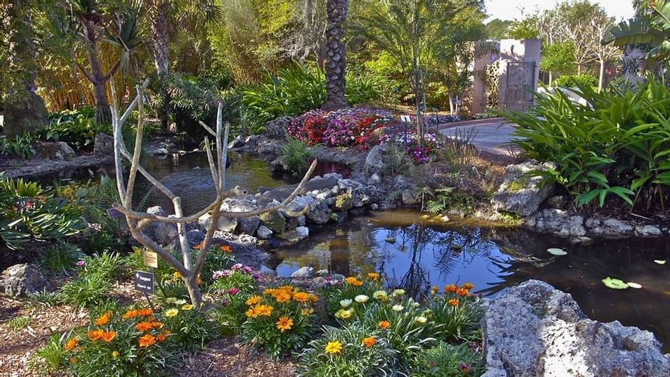 Hotels Near Florida Botanical Gardens & Heritage Village Attractions