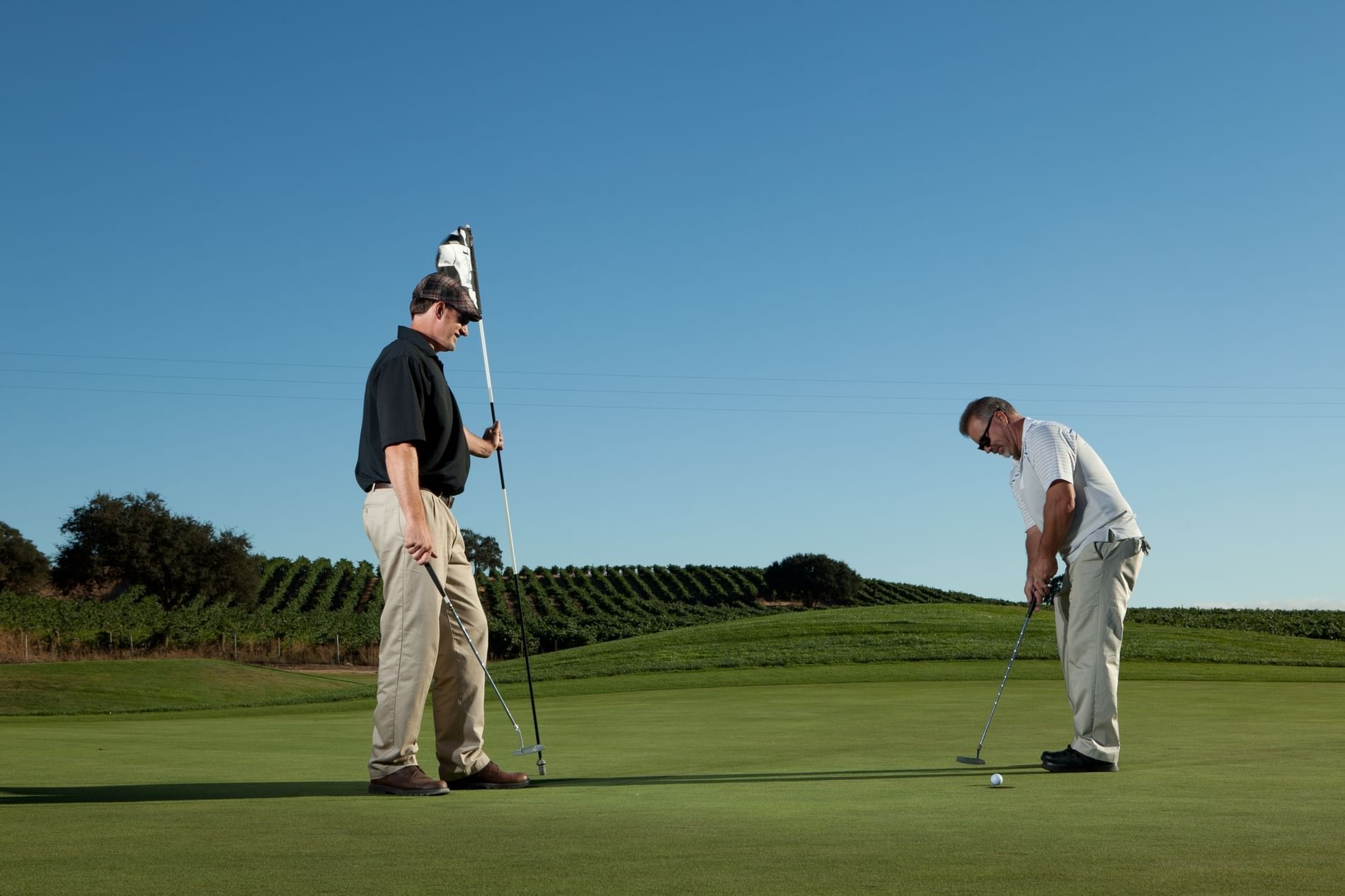 Lorem ipsum Two men standing on the green playing golf with vineyards in the