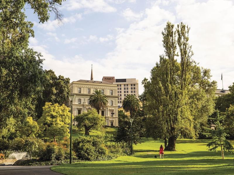 Treasury Gardens, Melbourne