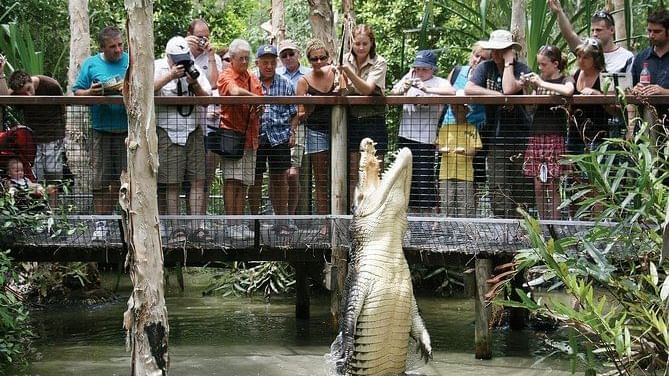 People watching feeding a crocodile in Hartley's Crocodile Adventures near Pullman Port Douglas