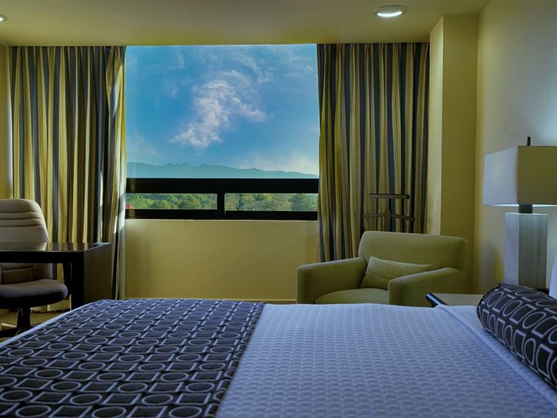 Comfy king bed with window view in Junior Suite at Gamma Hotels