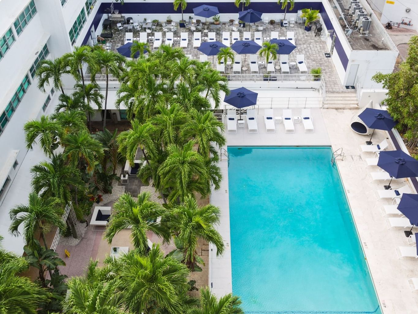 Upper pool swimming deck at Albion Miami Beach