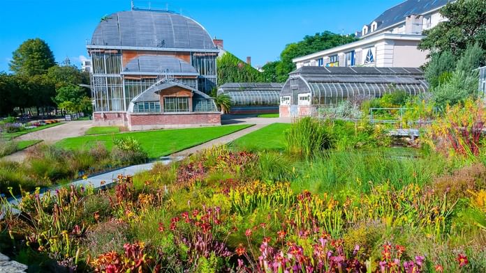 Landscape view of lush greenery in the Botanical Garden near Oceania Hotels