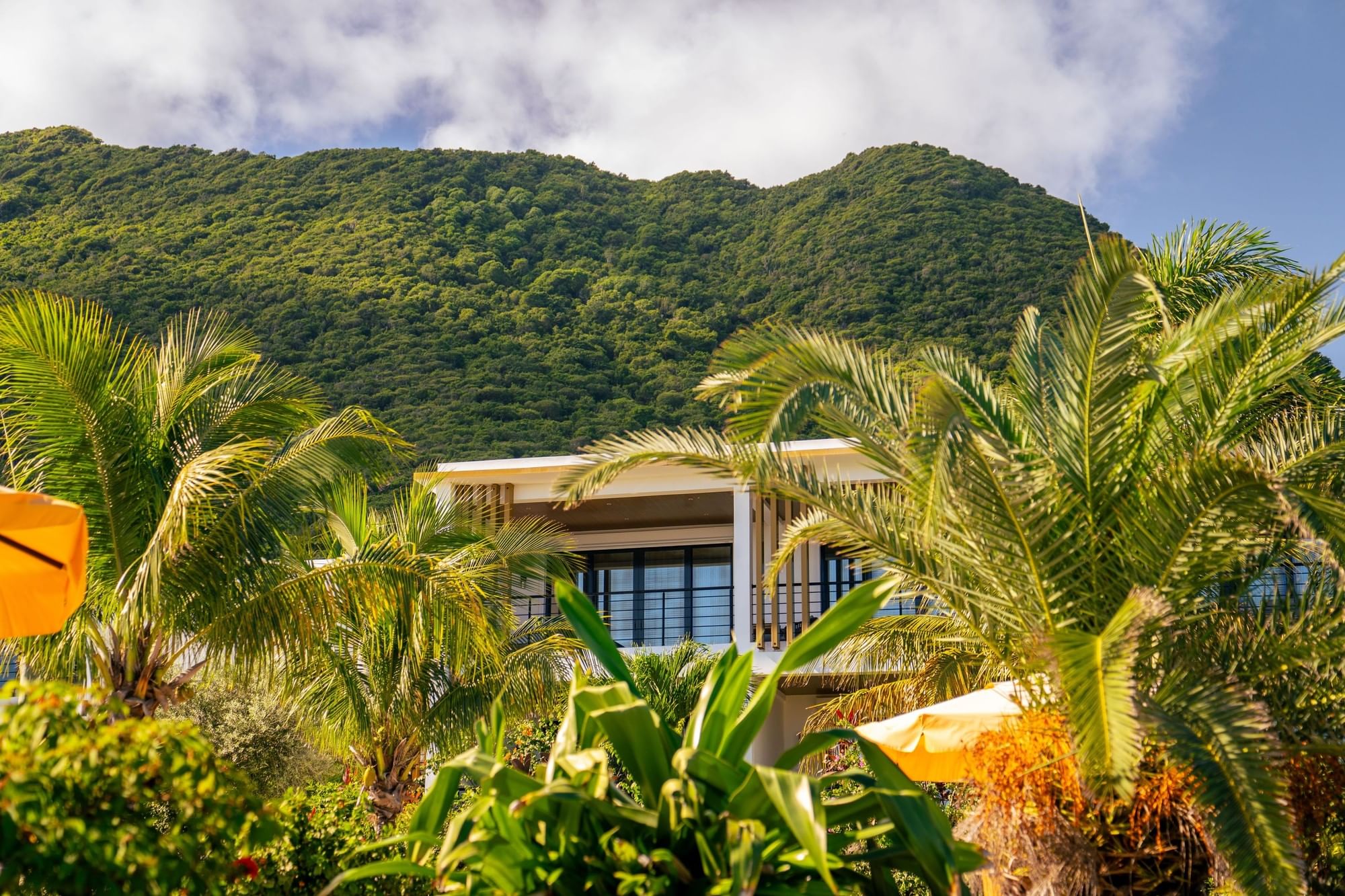 Modern guest room balcony surrounded by lush palm trees under a green mountain slope at Golden Rock Resort