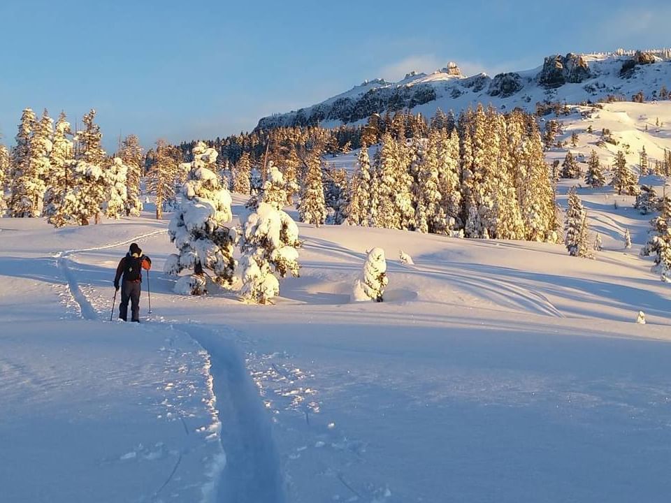 Backcountry skier in the skin track at Castle Peak at sunrise