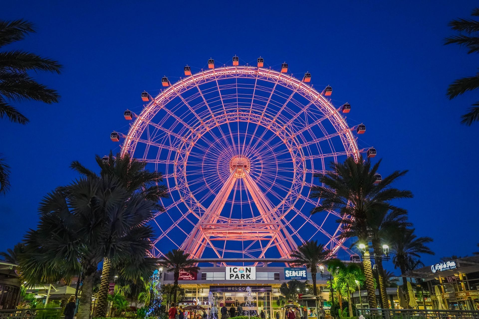 Illuminated Ferris wheel at night behind palm trees near ICON Park signage at Rosen Inn at Pointe Orlando