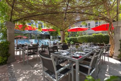 Relaxing Nature Fresh Air - Outdoor Restaurant 5