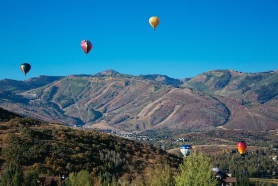 Annual Autumn Aloft Hot Air Balloon Festival