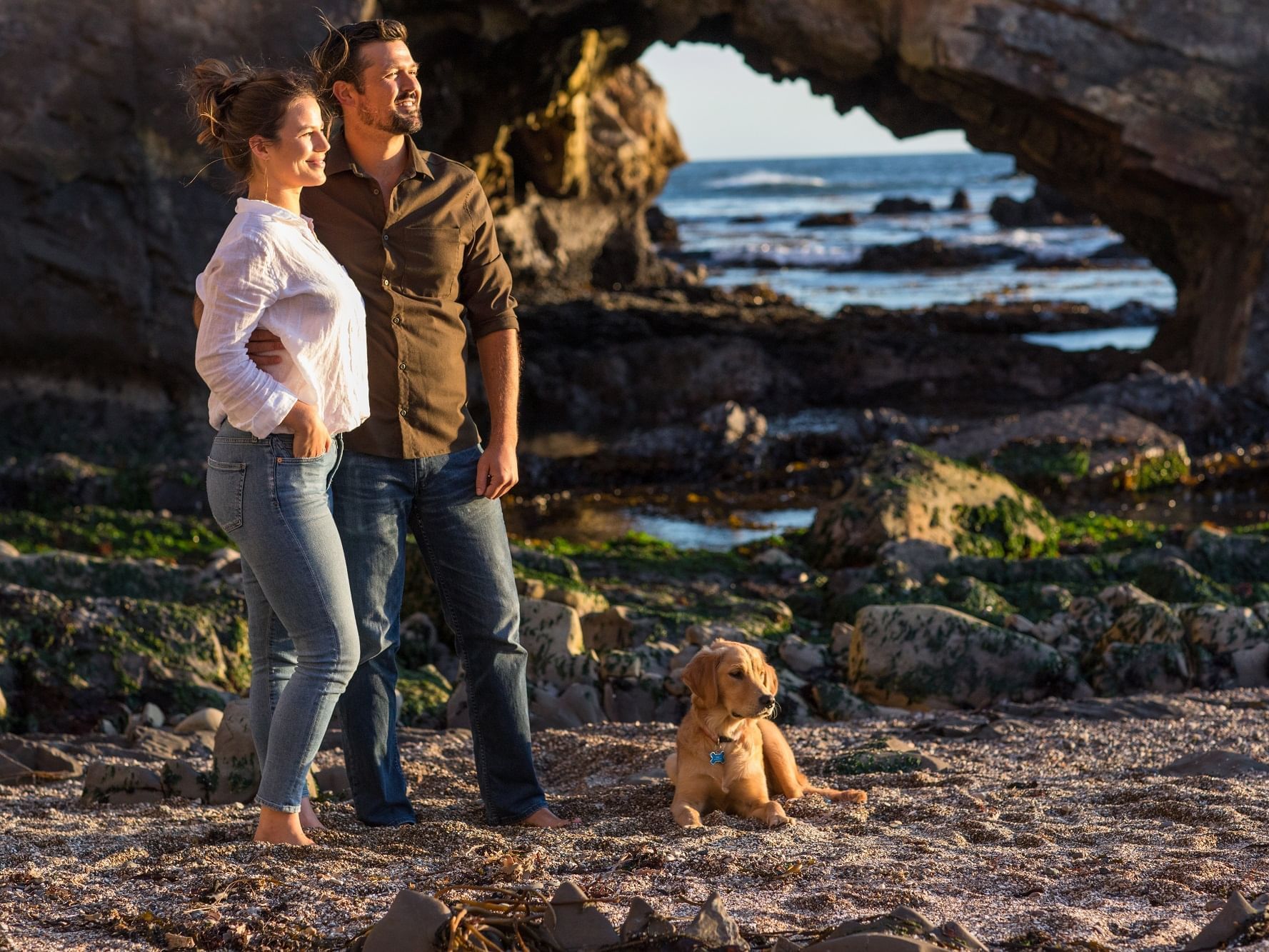 Cove beach Autumn Savings