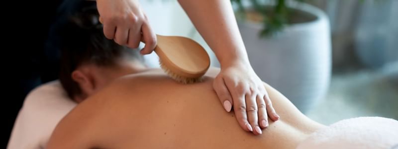 Vie Spa Magenta Winter Promotions back massage