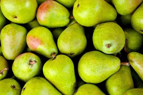Closeup image of mangos at supermarket near Oliver Like Home