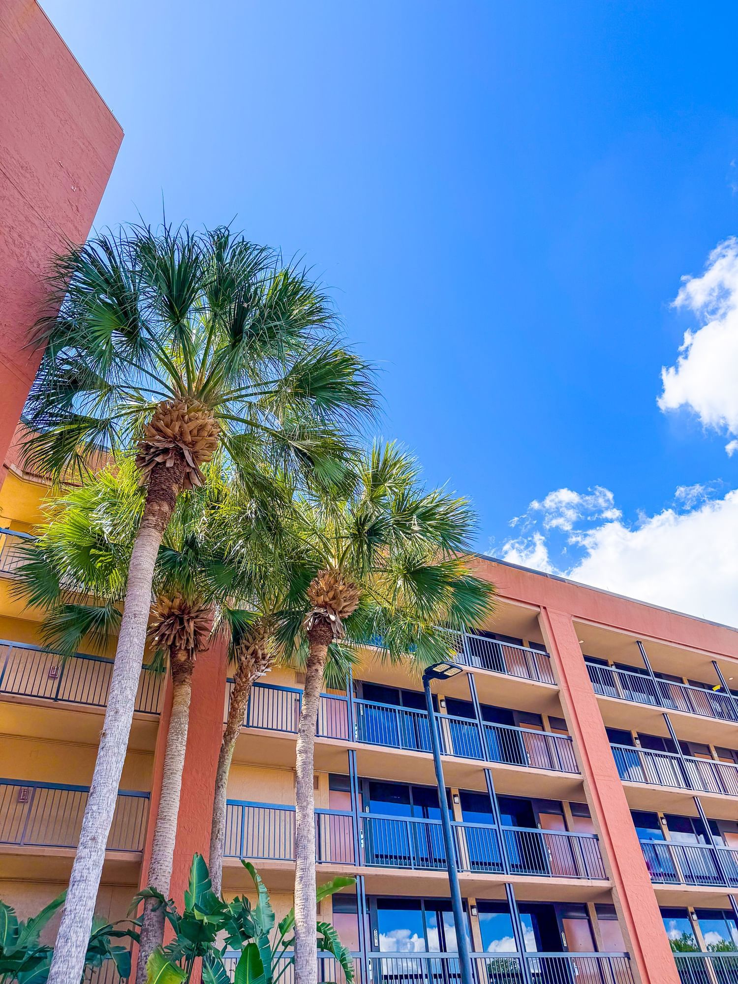 A hotel building rises against a blue sky with palm trees and tropical landscaping.