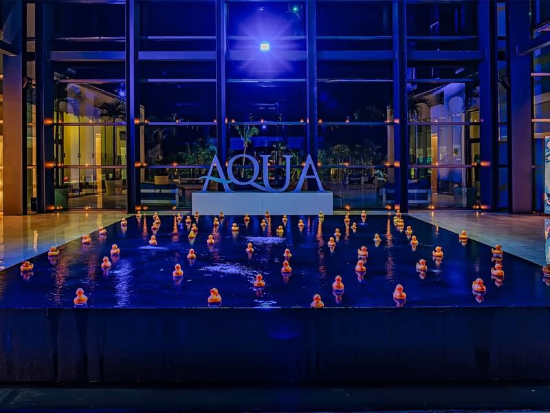 Serene indoor pond illuminated in night filled with floating rubber ducks alongside a AQUA sign at Live Aqua Resorts