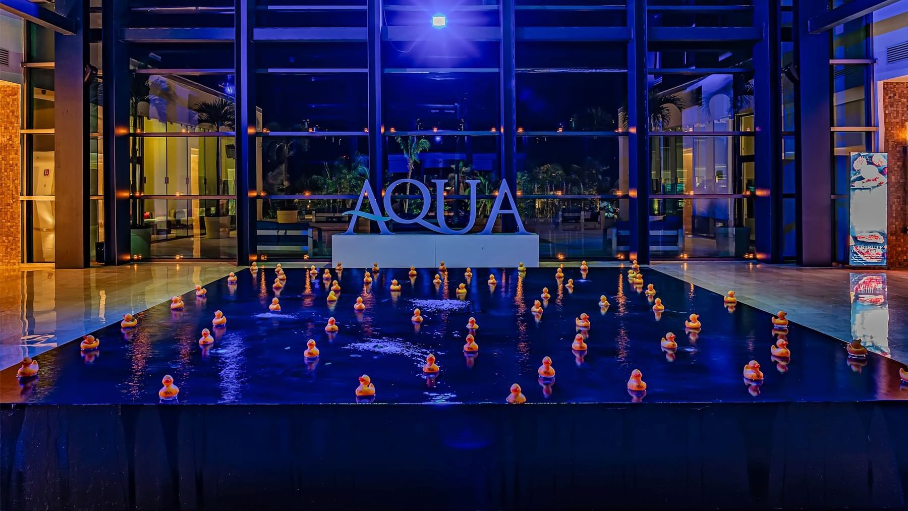 Serene indoor pond illuminated in night filled with floating rubber ducks alongside a AQUA sign at Live Aqua Resorts