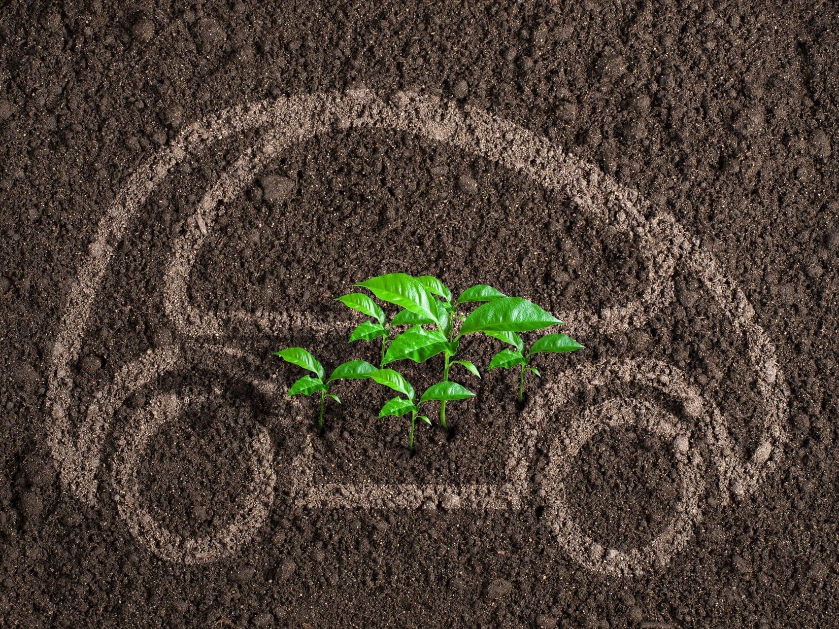 Electronic Vehicle discount