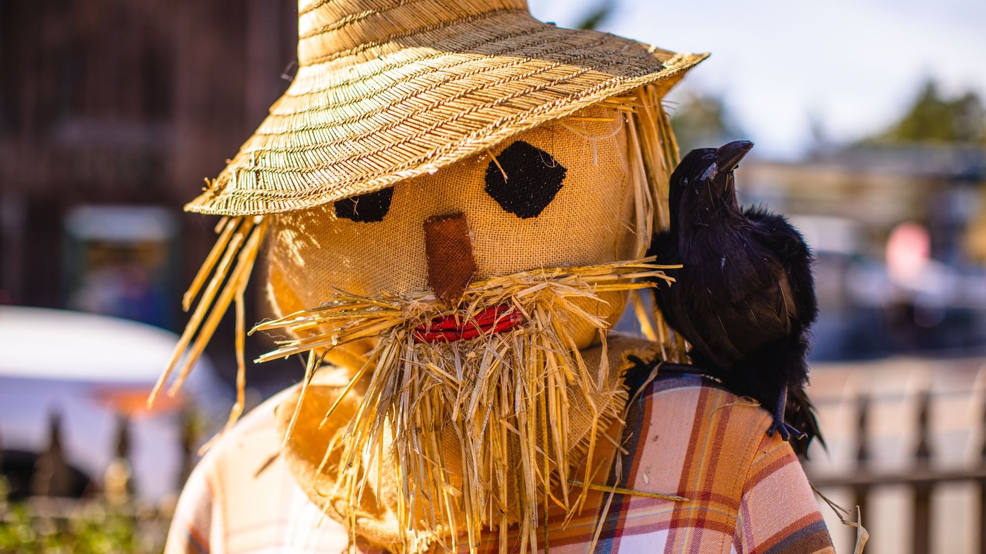 Scarecrow in a plaid shirt by a black crow under a straw hat at one of the hotels in Cambria, Sea Otter Inn