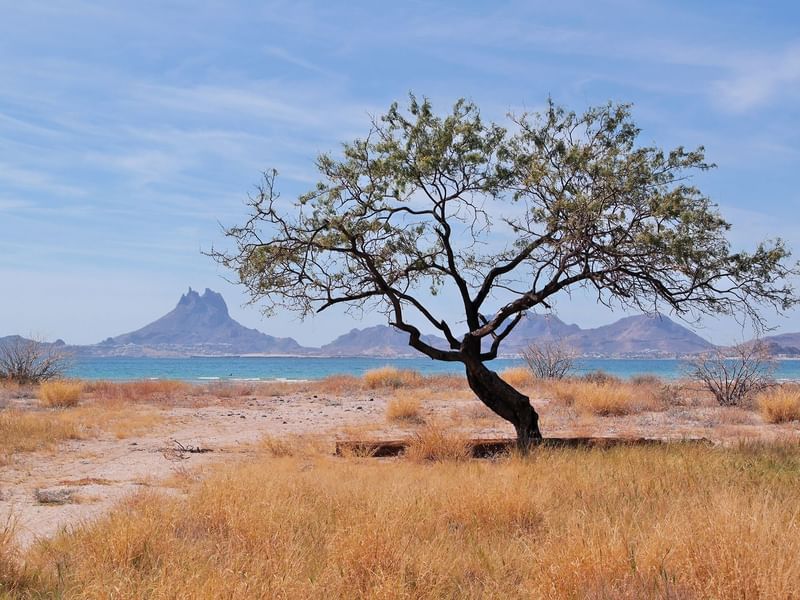 Landscape view of Laguna de Nainari near Fiesta Inn Hotels