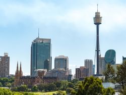 View of the Sydney Tower Eye and Park