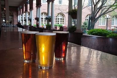 Beers on bar