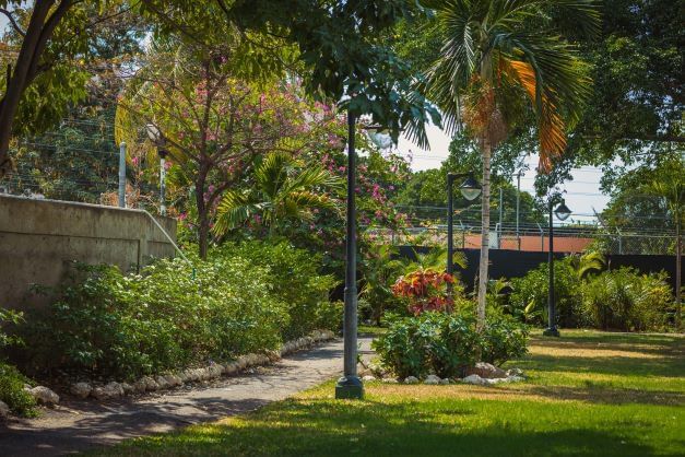 A garden view with a walking path at Jamaica Pegasus Hotel