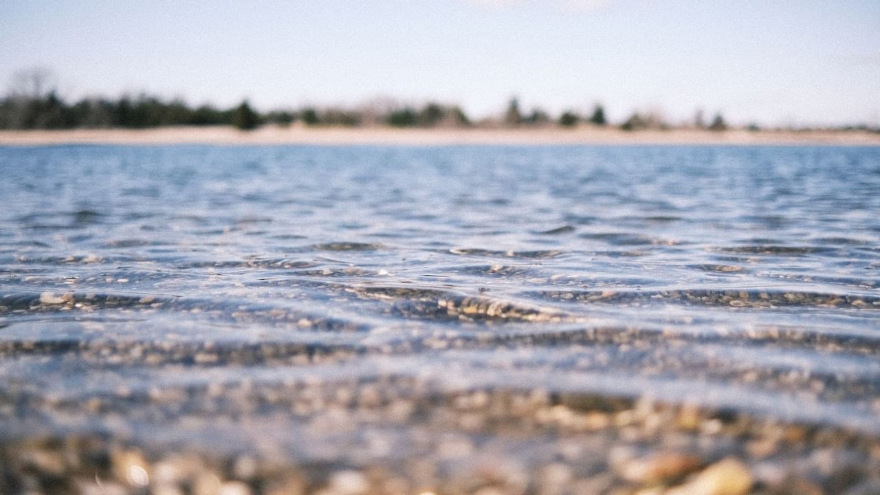 Stony beach with water and trees in background