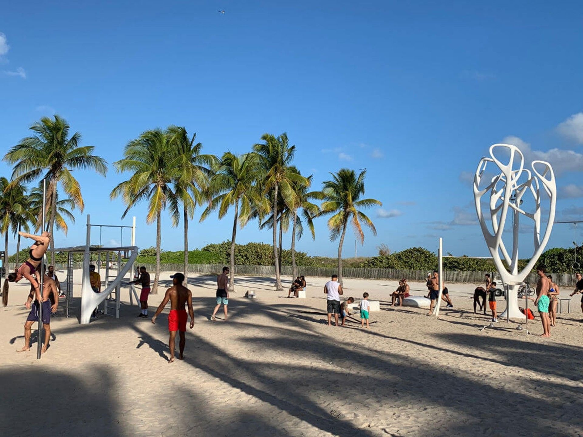 Vibrant outdoor fitness park on South Beach near Riviera Hotel South Beach with palm trees and a white art sculpture