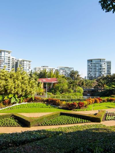 Lush Roma Street Parklands with manicured gardens near Sofitel Brisbane Central