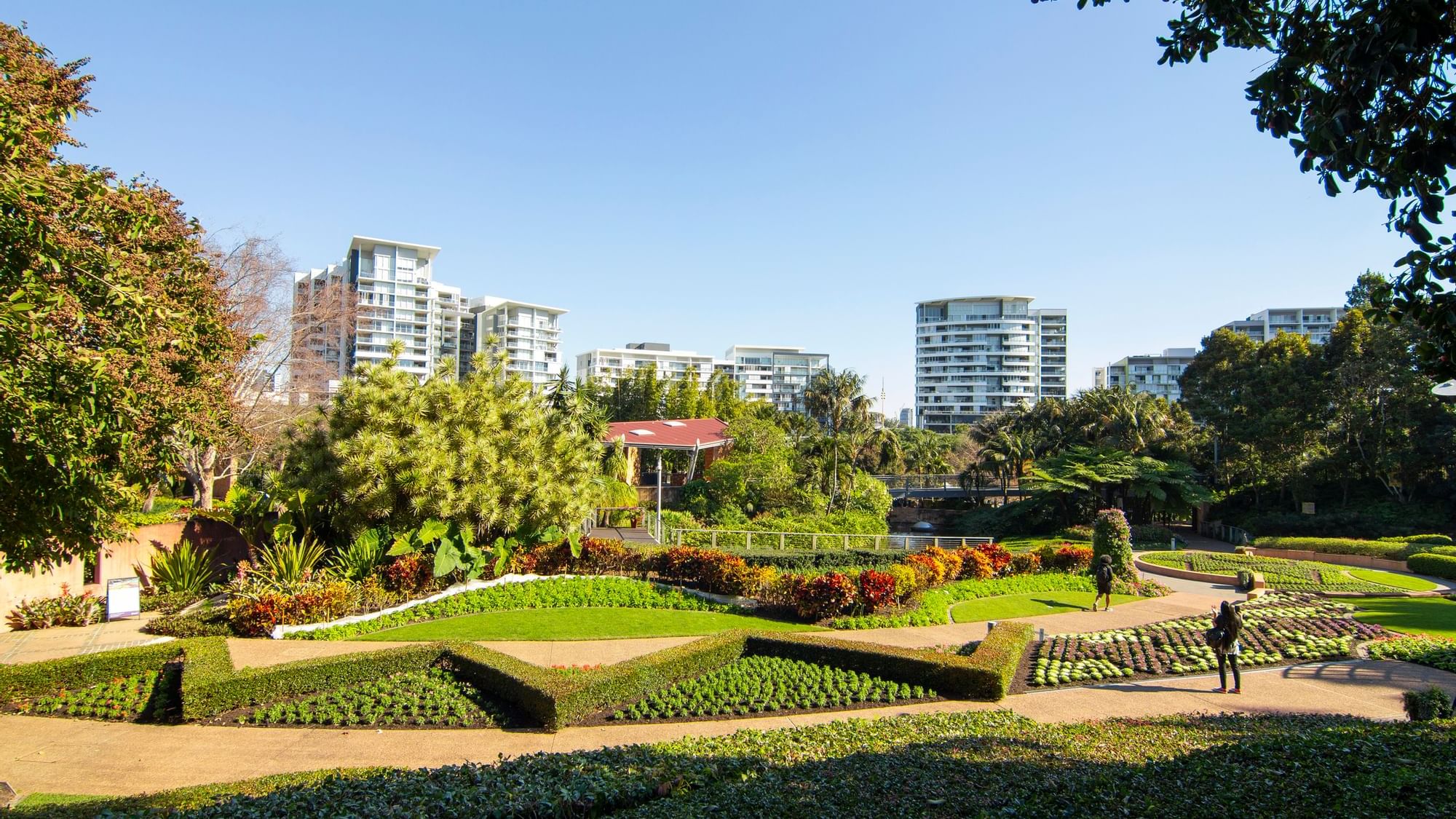 Lush Roma Street Parklands with manicured gardens near Sofitel Brisbane Central